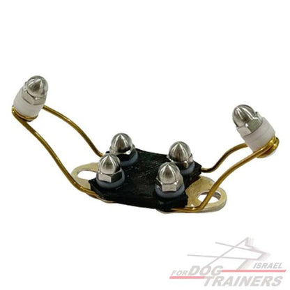חדש! מתאם פרפר לקולרי דוגטרה- מומלץ לפרווה ארוכה - FOR DOG TRAINERS- ISRAEL