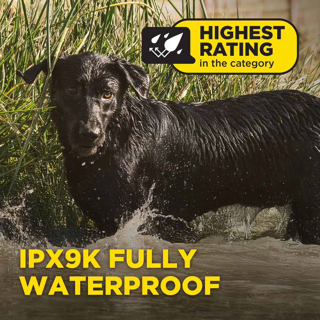 חדש! דוגטרה קולר אלקטרוני- קולר אילוף חשמלי Dogtra 1200X (1900X)