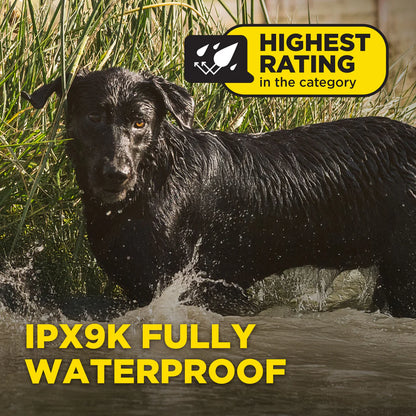 חדש! דוגטרה קולר אלקטרוני- קולר אילוף חשמלי Dogtra 1200X (1900X)