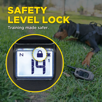 חדש! דוגטרה קולר אלקטרוני- קולר אילוף חשמלי Dogtra 1200X (1900X)