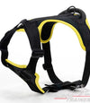חדש! רתמה לכלב באיכות מעולה לשליטה מירבית - FOR DOG TRAINERS- ISRAEL