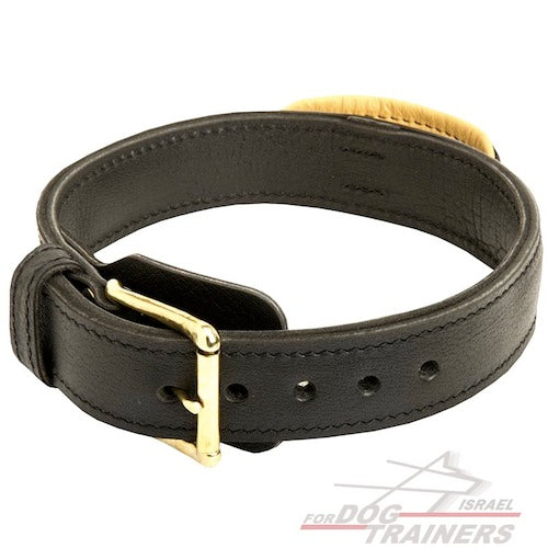 קולר לכלב מעור דו-שכבתי עם ידית אחיזה נוחה - FOR DOG TRAINERS- ISRAEL