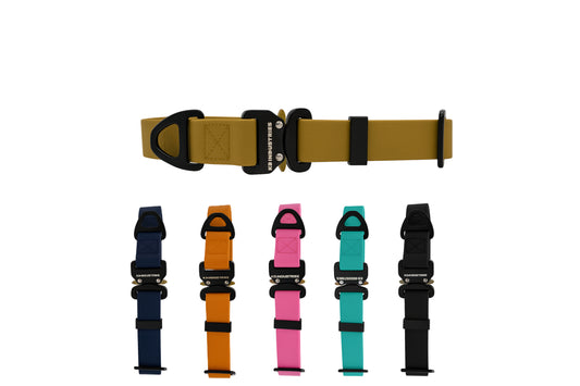 קולר מקצועי לכלב עשוי ביאוטן עם אבזם מתכת- 20 מ"מ (3/4 אינץ')