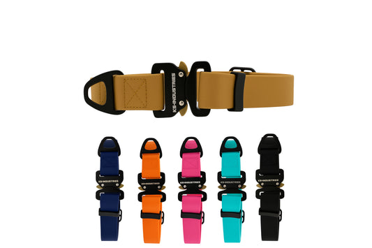 קולר מקצועי לכלב עשוי ביאוטן עם אבזם מתכת- 25 מ"מ (1 אינץ')