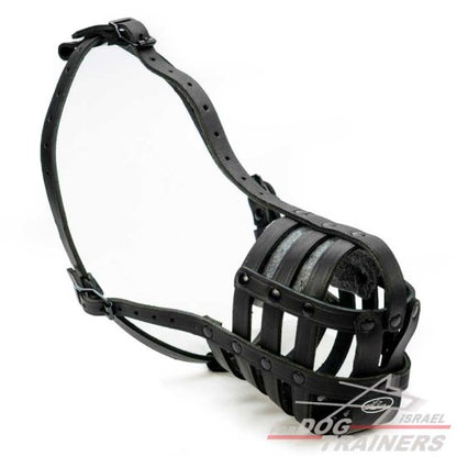 מחסום פה לכלב קל משקל ומאוורר לשימוש יומיומי - FOR DOG TRAINERS- ISRAEL