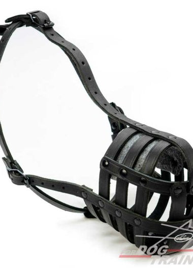 מחסום פה לכלב קל משקל ומאוורר לשימוש יומיומי - FOR DOG TRAINERS- ISRAEL