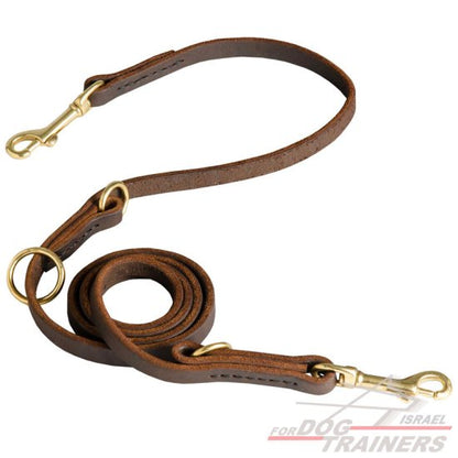 רצועת עור לכלב רבת מצבים לטיולים ולאימונים - FOR DOG TRAINERS- ISRAEL