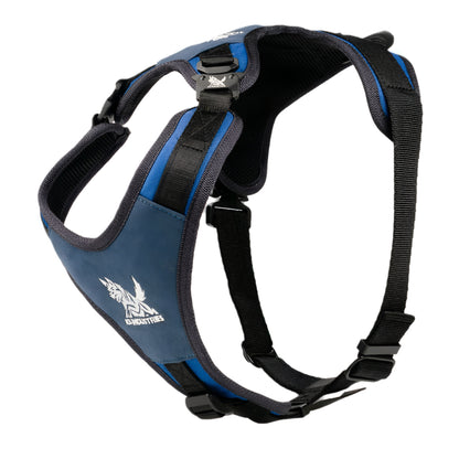 רתמת ניילון פרימיום לכלב – עמידה, נוחה ומקצועית