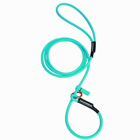 רצועת לאסו/ רצועת סליפ ליש לכלב עשויה מביאוטן עגול- עם קולר חנק מובנה 6 מ"מ טורקיז - FOR DOG TRAINERS- ISRAEL