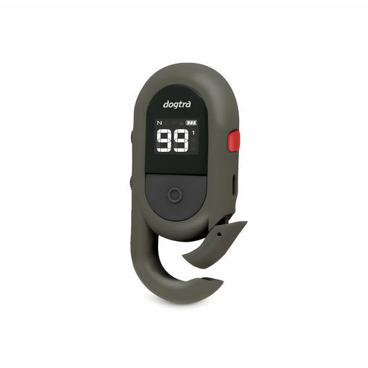 שלט מקורי חלופי- דוגטרה Dogtra IQ Flex / CUE