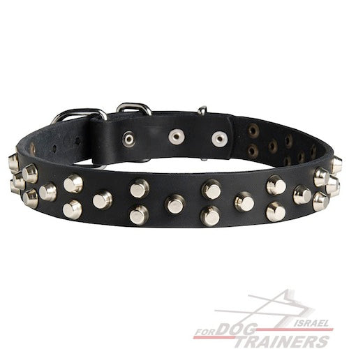 קולר לכלבים מעור עם קישוטי פרמידות - FOR DOG TRAINERS- ISRAEL