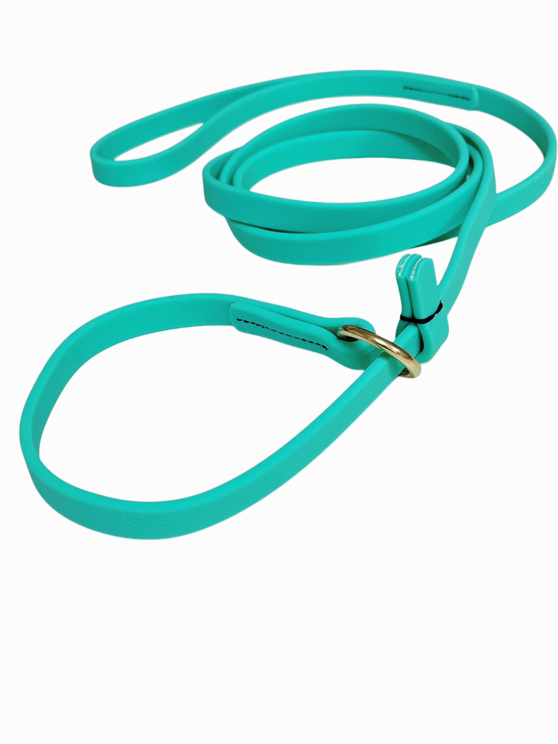 רצועת סליפ ליש לכלב עשויה מביאוטן- עם קולר חנק מובנה טורקיז - FOR DOG TRAINERS- ISRAEL