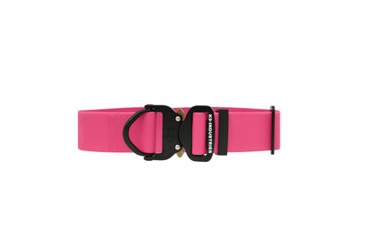 קולר מקצועי לכלב עשוי ביאוטן עם אבזם מתכת- 40 מ"מ (1.5 אינץ')