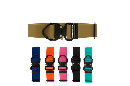 קולר מקצועי לכלב עשוי ביאוטן עם אבזם מתכת- 40 מ"מ (1.5 אינץ')