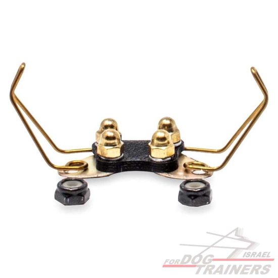 חדש! מתאם פרפר לקולרי אי קולר- רחב במיוחד - FOR DOG TRAINERS- ISRAEL