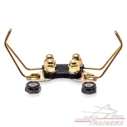 חדש! מתאם פרפר לקולרי אי קולר- רחב במיוחד - FOR DOG TRAINERS- ISRAEL