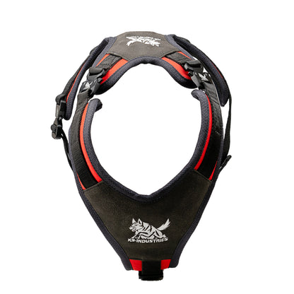 רתמת ניילון פרימיום לכלב – עמידה, נוחה ומקצועית