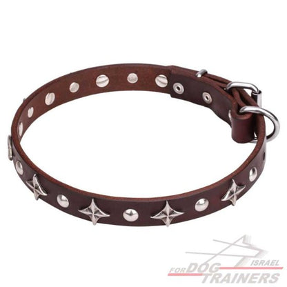 חדש! קולר לכלב מעור בעיצוב בלעדי - FOR DOG TRAINERS- ISRAEL