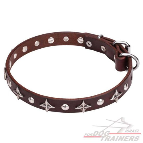 חדש! קולר לכלב מעור בעיצוב בלעדי - FOR DOG TRAINERS- ISRAEL