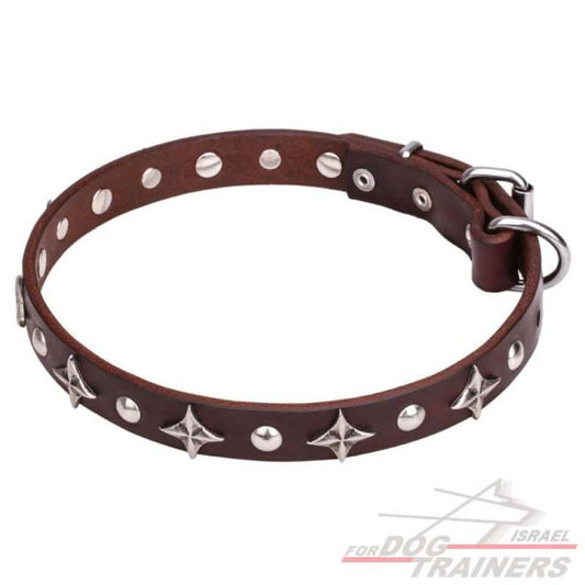 חדש! קולר לכלב מעור בעיצוב בלעדי - FOR DOG TRAINERS- ISRAEL