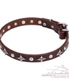 חדש! קולר לכלב מעור בעיצוב בלעדי - FOR DOG TRAINERS- ISRAEL
