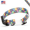 קולר לכלב עשוי ביאוטן מעוצב- הדפס ינשופים - FOR DOG TRAINERS- ISRAEL