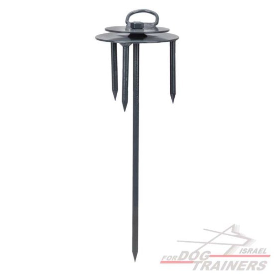 מתקן קשירה לכלב עם ראש מסתובב- לדשא/ אדמה - FOR DOG TRAINERS- ISRAEL