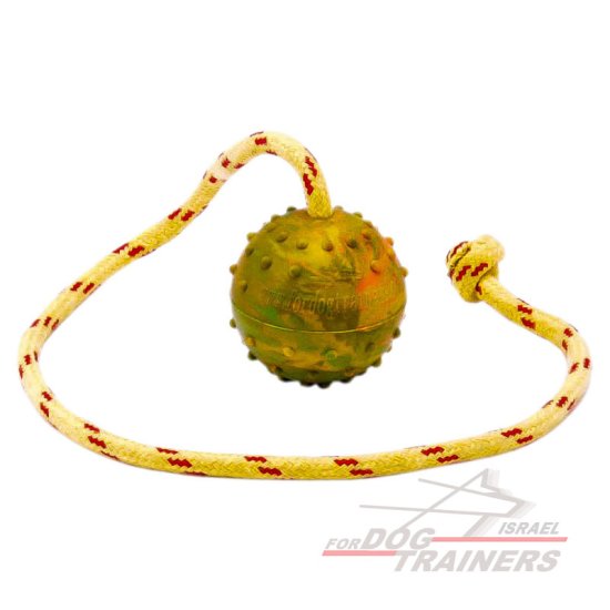 כדור על חבל עשוי גומי חלול - גודל בינוני 6 ס"מ - FOR DOG TRAINERS- ISRAEL
