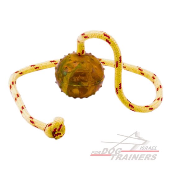 כדור אימון לכלבים על חבל עשוי גומי מוצק - גודל קטן 5 ס"מ - FOR DOG TRAINERS- ISRAEL