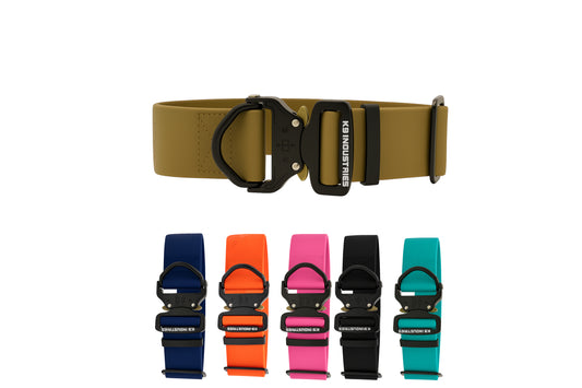 קולר מקצועי לכלב עשוי ביאוטן עם אבזם מתכת- 50 מ"מ (2 אינץ')