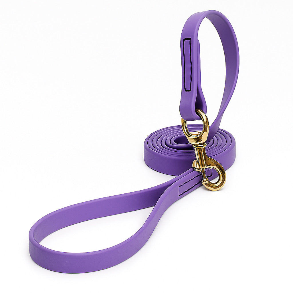 רצועה ביאוטן שטוח לכלב סגול לילך - FOR DOG TRAINERS ישראל
