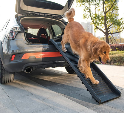 רמפה לכלב לרכב מפלסטיק מחוזק – פתרון מושלם לנגישות, בטיחות ונוחות