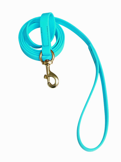 רצועה לכלב עשויה מביאוטן- איכותית ועמידה במיוחד טורקיז - FOR DOG TRAINERS- ISRAEL