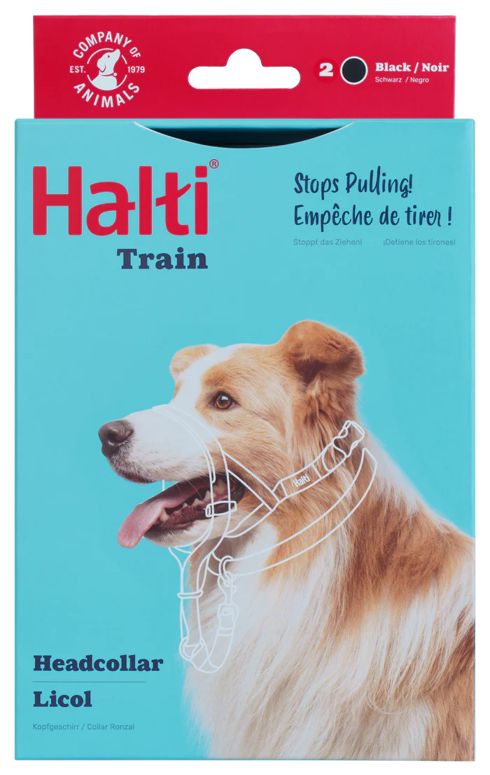 הלטי לכלב מידה 2 רתמת ראש נגד משיכות - FOR DOG TRAINERS ישראל