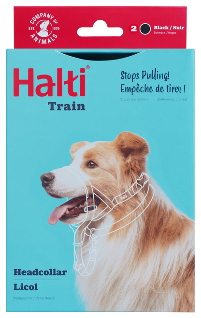 הלטי לכלב מידה 2 רתמת ראש נגד משיכות - FOR DOG TRAINERS ישראל