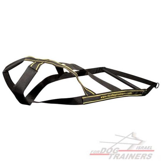 רתמה לכלב לסחיבת משקלים - שדרגו את כלבכם! - FOR DOG TRAINERS- ISRAEL