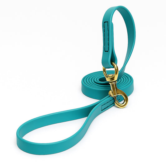 רצועה לכלב עשויה מביאוטן- איכותית ועמידה במיוחד טורקיז