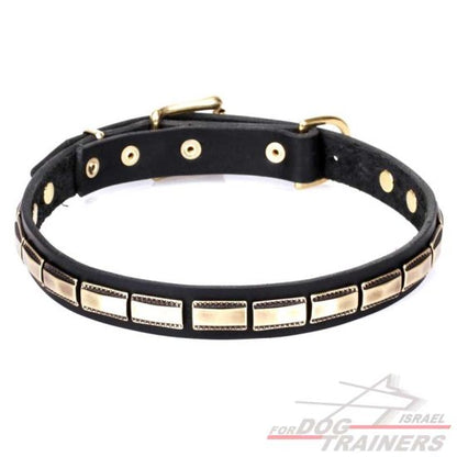 חדש! קולר לכלב מעור מאובזר בקישוט דקורטיבי - FOR DOG TRAINERS- ISRAEL