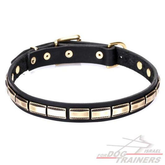 חדש! קולר לכלב מעור מאובזר בקישוט דקורטיבי - FOR DOG TRAINERS- ISRAEL