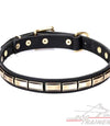 חדש! קולר לכלב מעור מאובזר בקישוט דקורטיבי - FOR DOG TRAINERS- ISRAEL