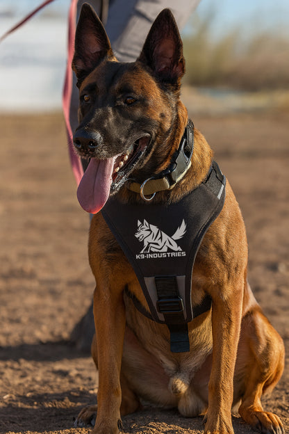 רתמת ניילון פרימיום לכלב – עמידה, נוחה ומקצועית