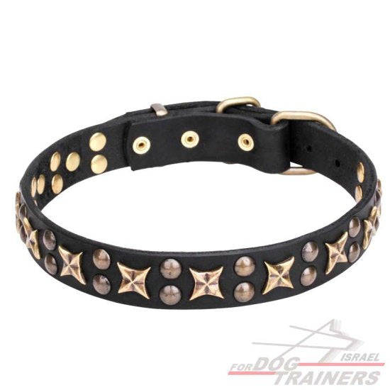 חדש! קולר לכלב מעור מעוצב - FOR DOG TRAINERS- ISRAEL
