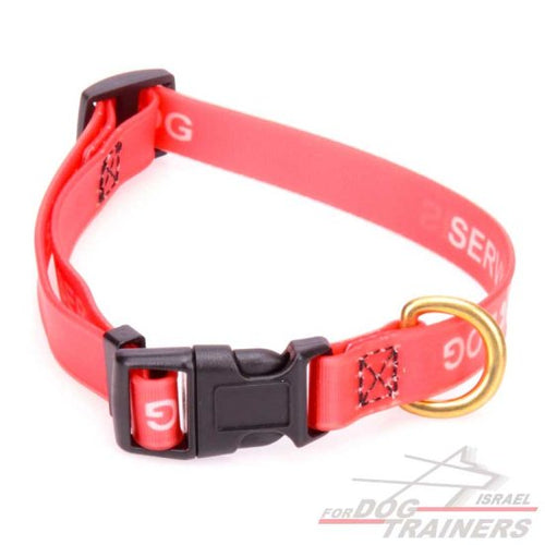 קולר מתכונן לכלב מביאוטן-כלב שירות- באיכות מעולה 2 ס"מ רוחב - FOR DOG TRAINERS- ISRAEL