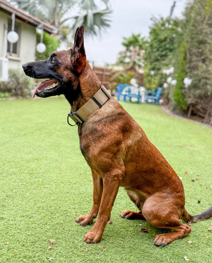 קולר טקטי לכלב עם ידית אחיזה – רחב במיוחד 5 ס"מ