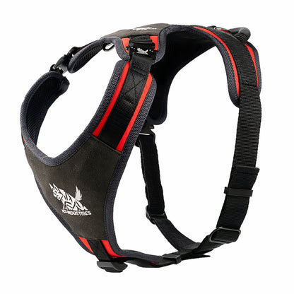 רתמת ניילון פרימיום לכלב – עמידה, נוחה ומקצועית