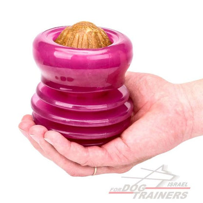 צעצוע דיספנסר חטיפים עשוי גומי ורוד לגזעי כלבים גדולים - FOR DOG TRAINERS- ISRAEL