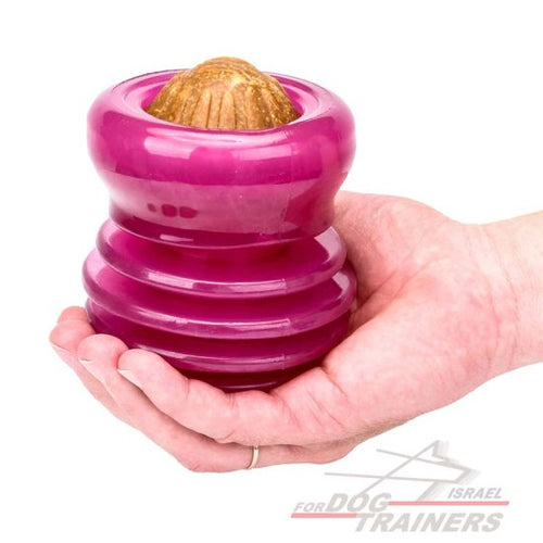 צעצוע דיספנסר חטיפים עשוי גומי ורוד לגזעי כלבים גדולים - FOR DOG TRAINERS- ISRAEL
