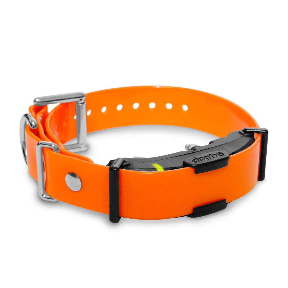 קולר חלופי לדוגטרה 800- DOGTRA ARC 800FREE PLUS - FOR DOG TRAINERS- ISRAEL