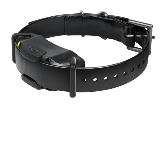 קולר חלופי לדוגטרה 1200- DOGTRA ARC 1200S (1900S) - FOR DOG TRAINERS- ISRAEL