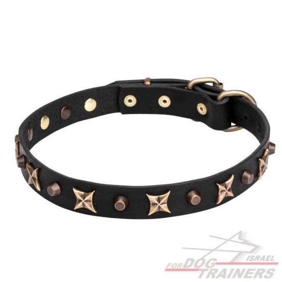 חדש! קולר לכלב מעור בעיצוב מיוחד - FOR DOG TRAINERS- ISRAEL